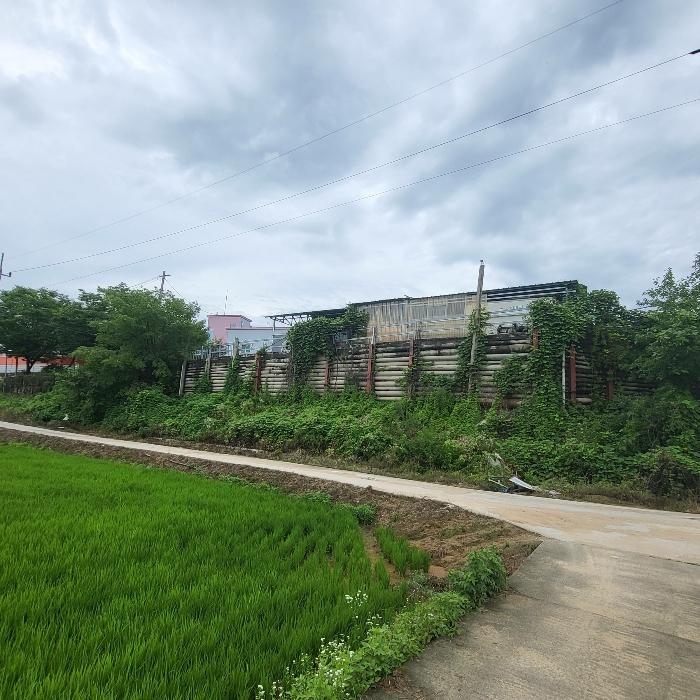 2024타경1042 법원경매 사진2 | 경북 예천군 주택건물 경매