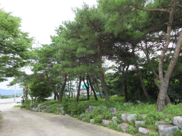 2024타경1042 법원경매 사진46 | 경북 예천군 주택건물 경매