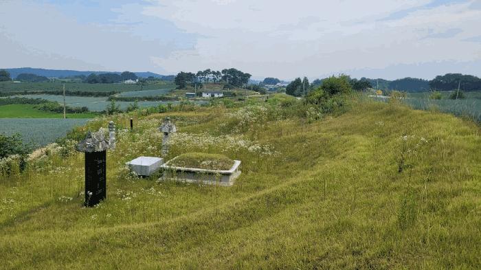 법원경매 2024타경35130 사진6 | 여주시 세종대왕면 마래리 임야 경매