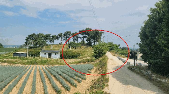 법원경매 2024타경35130 사진7 | 여주시 세종대왕면 마래리 임야 경매