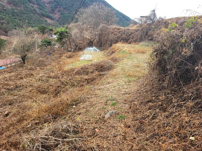 경상남도 창녕군 영산면 구계리 1267-2 법원경매 물건 대표사진