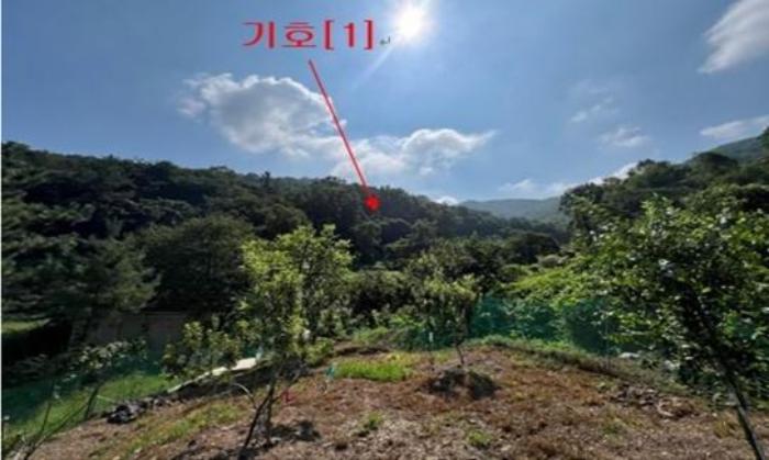 경상남도 밀양시 무안면 정곡리 산66 법원경매 물건 대표사진