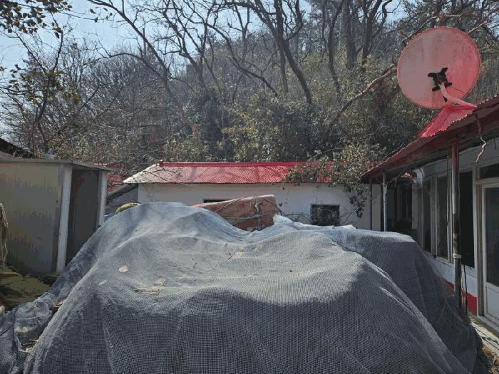 전라남도 무안군 삼향읍 임성리 산59-2 법원경매 물건 대표사진