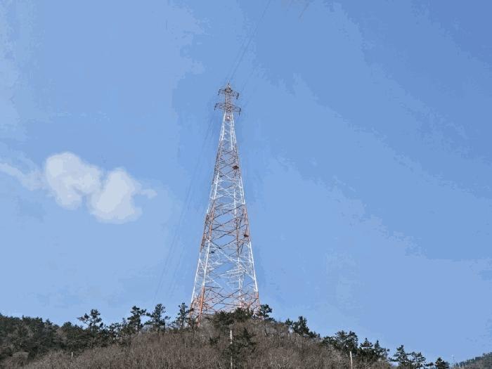 2025타경283 법원경매 사진5 | 전남 무안군 임야 경매
