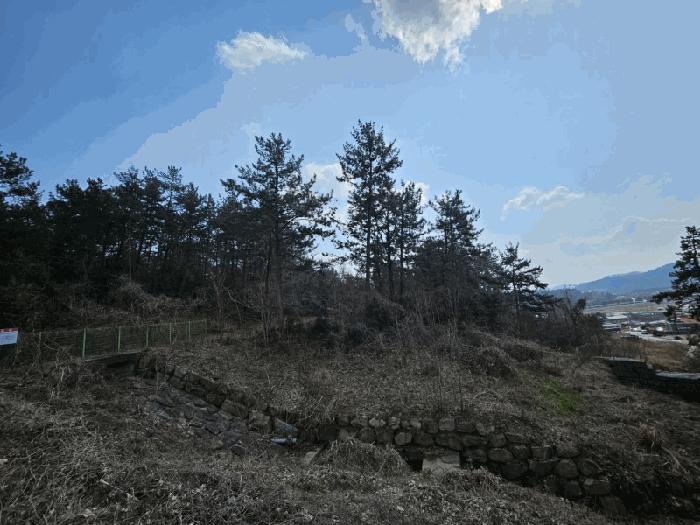2025타경283 법원경매 사진9 | 전남 무안군 임야 경매