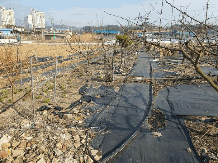 2025타경50888 법원경매 사진2 | 전남 영암군 전 경매