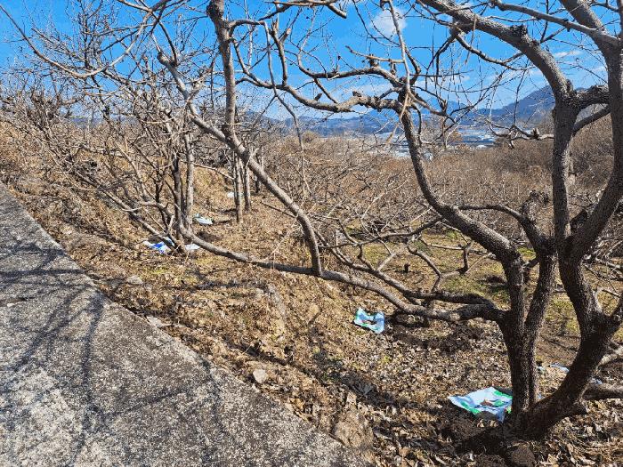 전라남도 광양시 옥곡면 장동리 195-1 법원경매 물건 대표사진