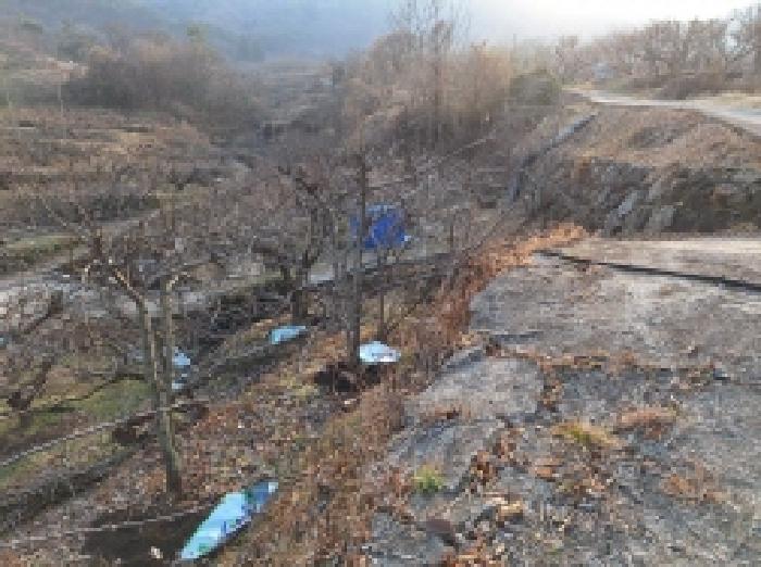 2025타경50992 법원경매 사진6 | 전남 광양시 전 경매