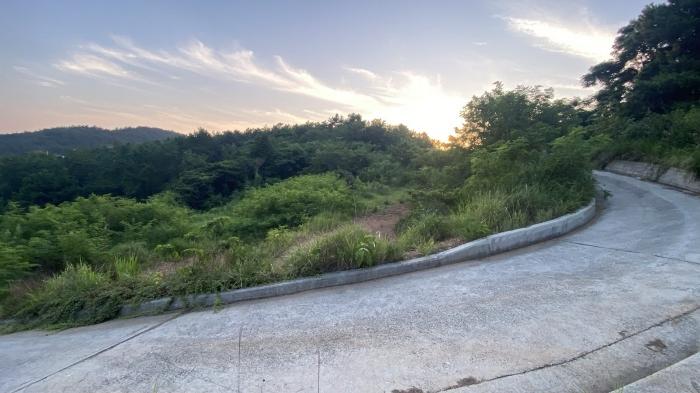2024타경53355 법원경매 사진3 | 전남 완도군 전 경매