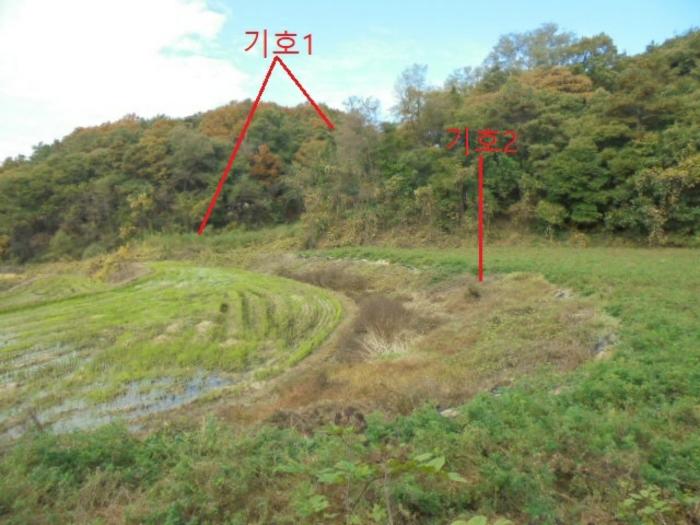 2024타경7474 법원경매 사진2 | 충북 제천시 답 경매