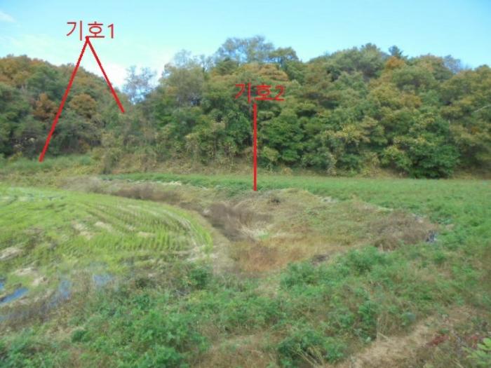 2024타경7474 법원경매 사진5 | 충북 제천시 답 경매