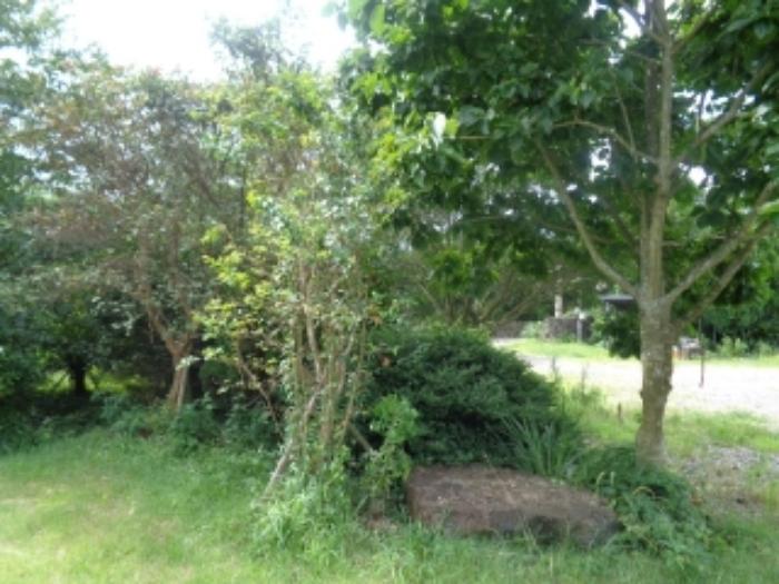 2024타경6825 법원경매 사진35 | 제주 제주시 주택건물 경매