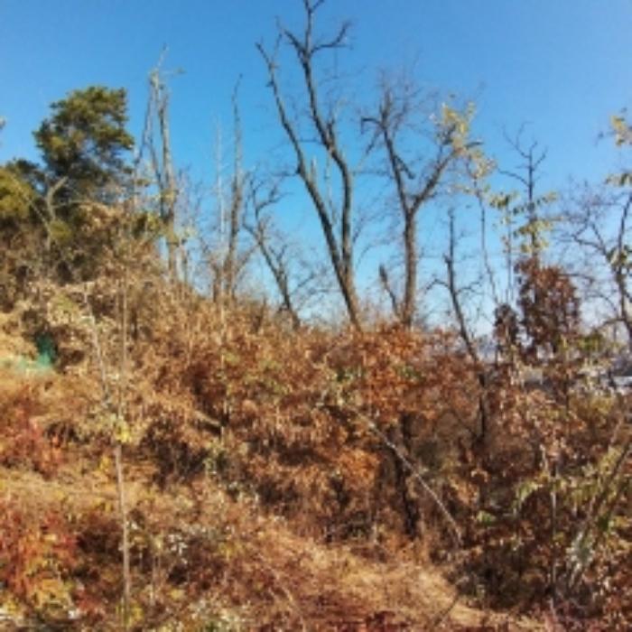 2024타경5476 법원경매 사진5 | 서울 영등포구 임야 경매