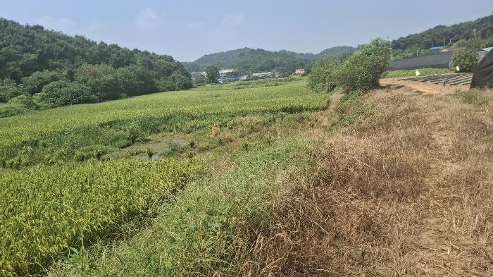 2024타경3683 법원경매 사진4 | 충남 당진시 답 경매