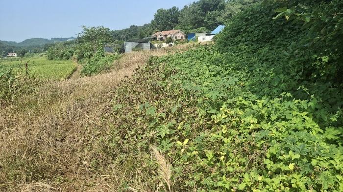 2024타경3683 법원경매 사진6 | 충남 당진시 답 경매