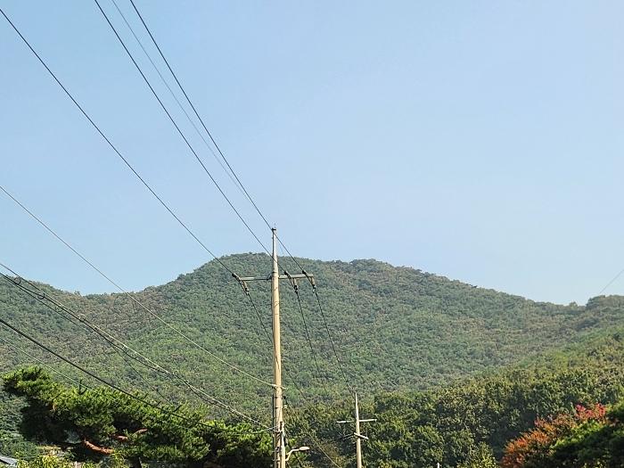 인천광역시 강화군 길상면 선두리 산67 법원경매 물건 대표사진