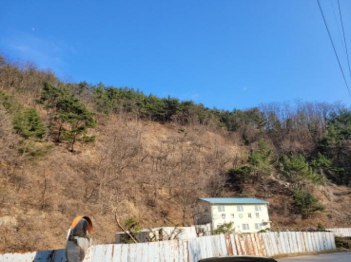법원경매 2024타경10158 사진72 | 영양군 영양읍 서부리 426-1 임야 경매