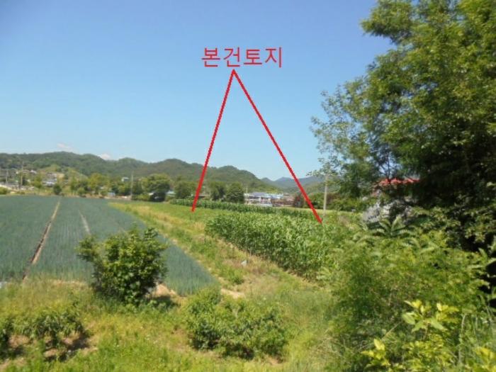 2024타경1725 법원경매 사진2 | 충북 충주시 전 경매