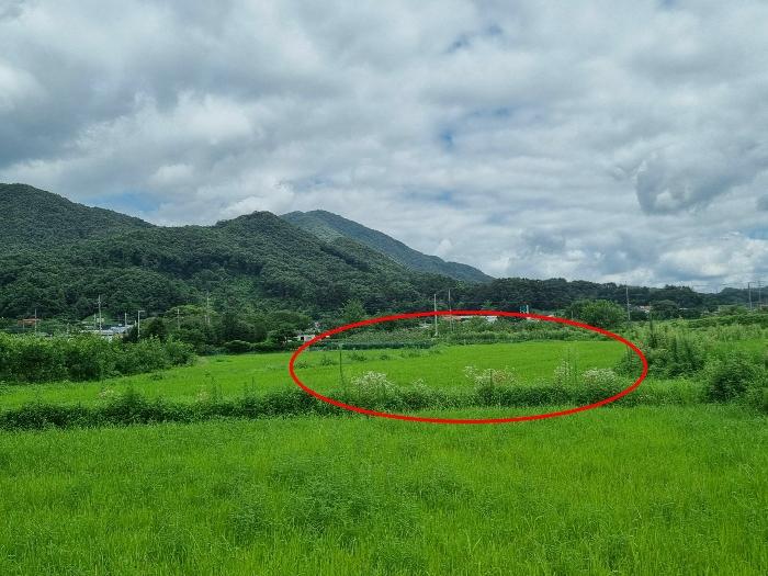 충청북도 음성군 원남면 보천리 492 법원경매 물건 대표사진