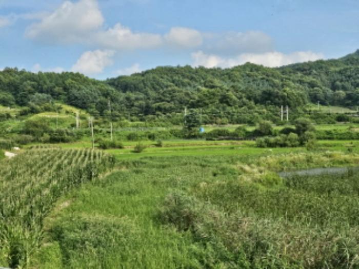 2024타경33661 법원경매 사진6 | 충북 음성군 답 경매