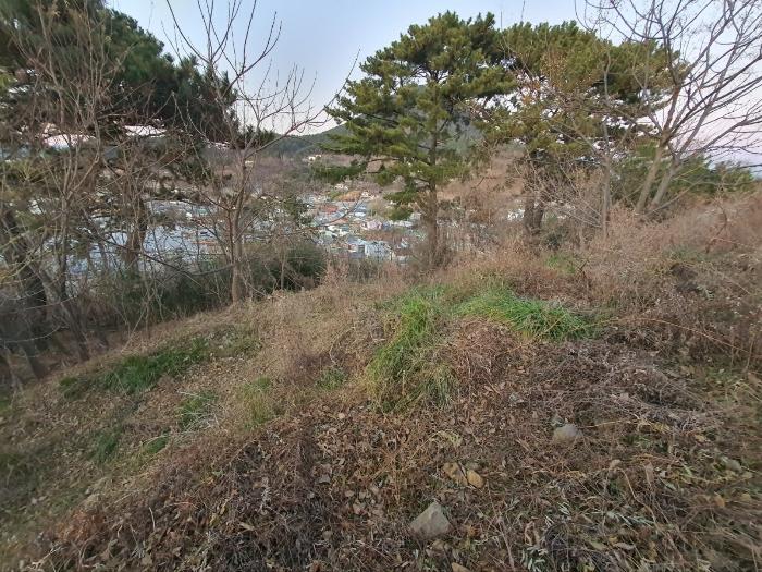 2024타경5235 법원경매 사진2 | 경남 거제시 임야 경매
