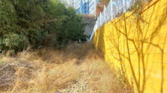 2024타경32176 법원경매 사진4 | 경남 거제시 임야 경매