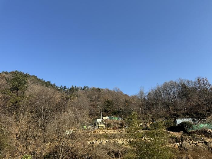 2024타경63205 법원경매 사진3 | 전남 순천시 전 경매