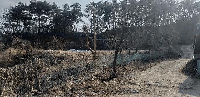2025타경1101 법원경매 사진4 | 청주 상당구 전 경매
