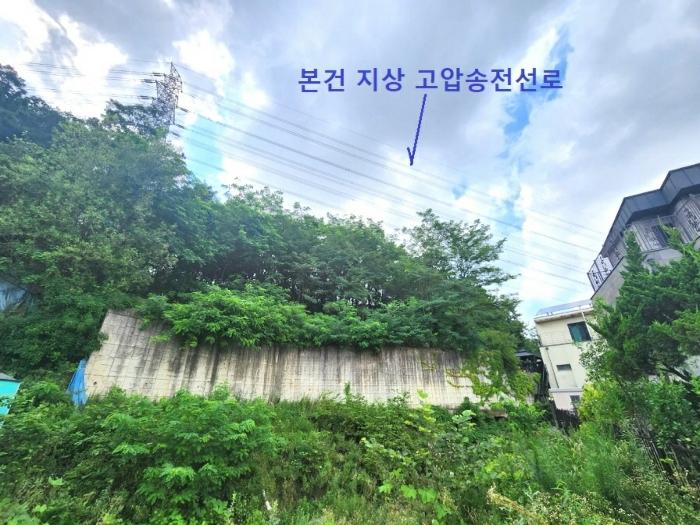 법원경매 2024타경79226 사진5 | 용인시 기흥구 하갈동 323-59 임야 경매