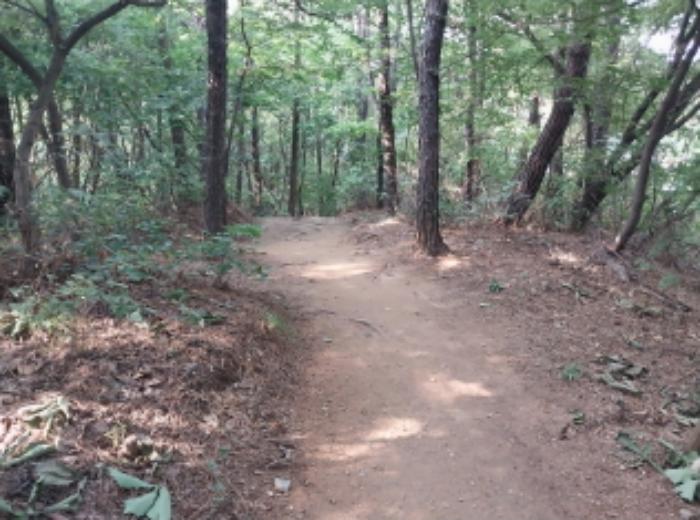 법원경매 2024타경79226 사진9 | 용인시 기흥구 하갈동 323-59 임야 경매