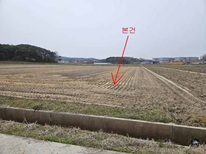 2024타경1250 법원경매 사진2 | 충남 당진시 임야 경매