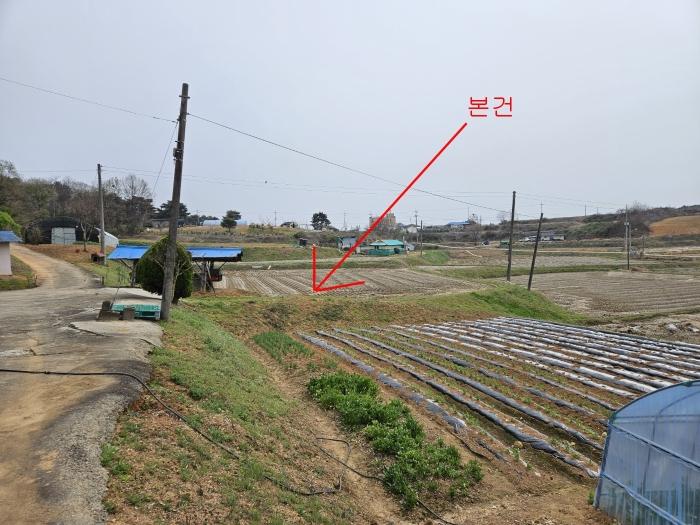 2024타경1250 법원경매 사진3 | 충남 당진시 임야 경매