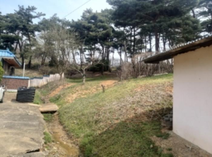 2024타경1250 법원경매 사진33 | 충남 당진시 임야 경매