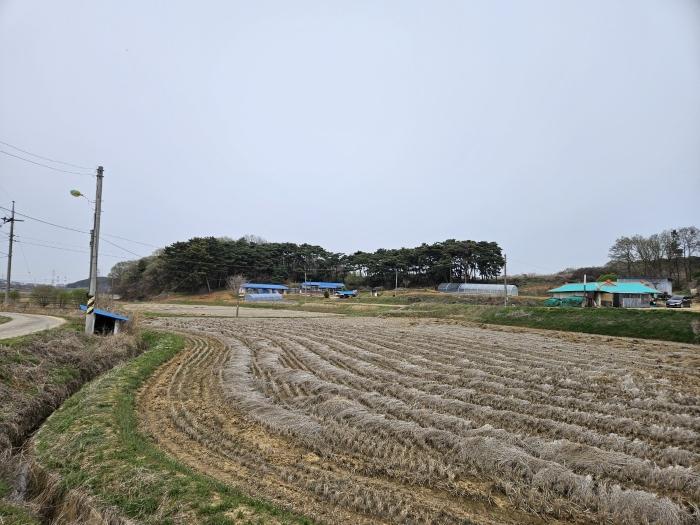 2024타경1250 법원경매 사진4 | 충남 당진시 임야 경매