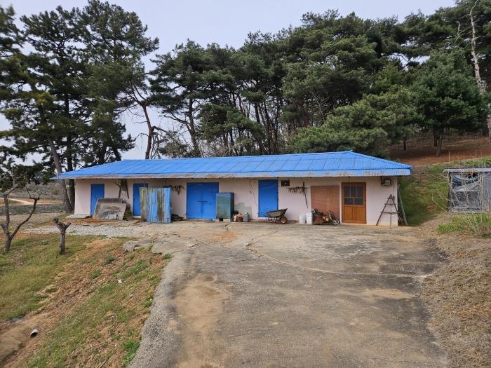 2024타경1250 법원경매 사진7 | 충남 당진시 임야 경매