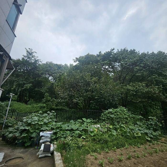 법원경매 2024타경2542 사진2 | 서울 광진구 광장동 372-11 임야 경매
