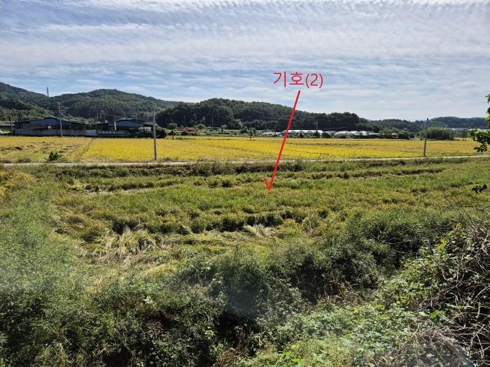 법원경매 2024타경51999 사진5 | 안성시 보개면 신안리 515 답 경매