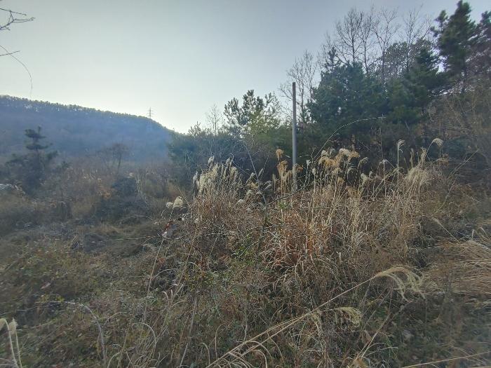 2024타경5532 법원경매 사진2 | 경남 고성군 답 경매