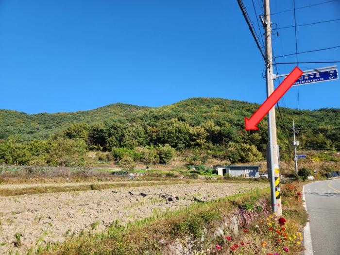 2024타경4621 법원경매 사진2 | 경남 고성군 임야 경매
