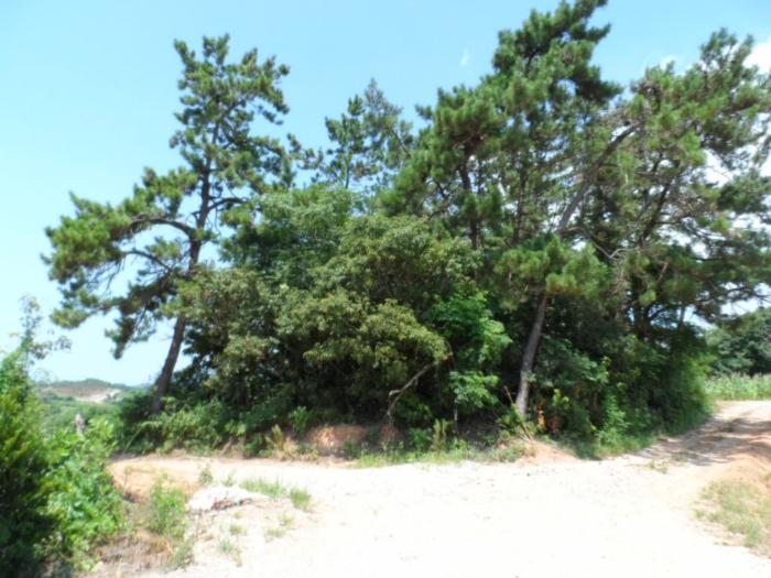 2024타경3252 법원경매 사진5 | 전남 함평군 전 경매