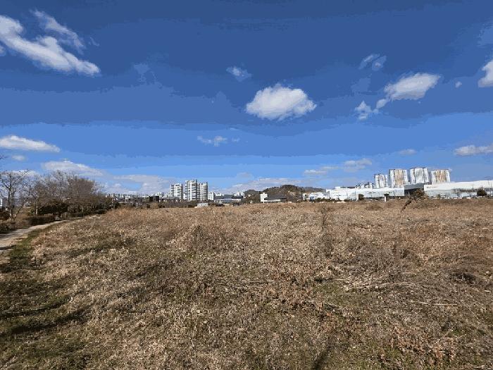 2025타경275 법원경매 사진2 | 전남 무안군 대지 경매