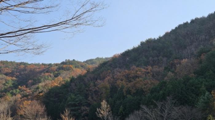 2024타경4992 법원경매 사진5 | 전남 광양시 임야 경매