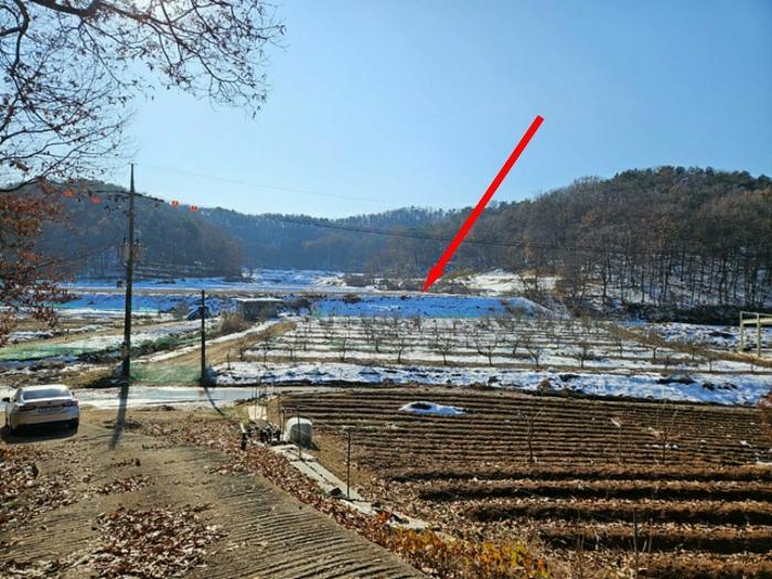 법원경매 2024타경12810 사진3 | 화성시 장지동 372 답 경매