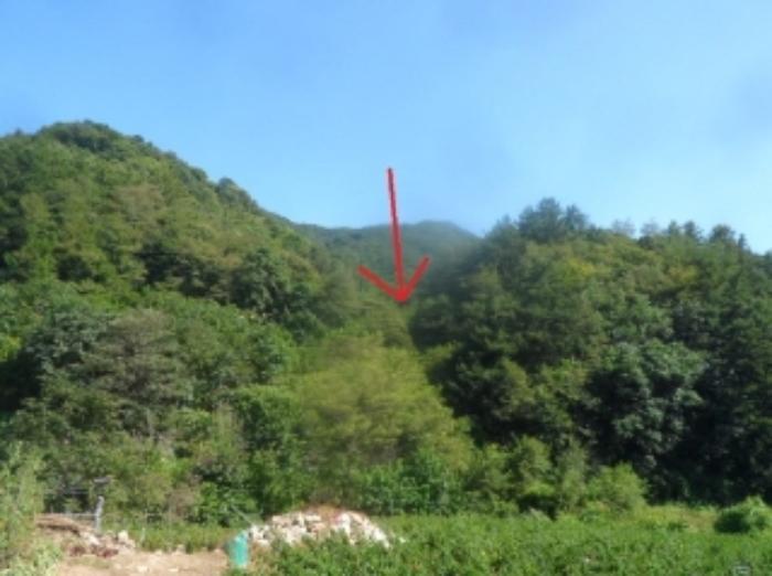 법원경매 2024타경32271 사진3 | 영월군 영월읍 정양리 498 전 경매