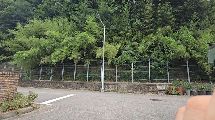 2024타경704 법원경매 사진2 | 충북 영동군 임야 경매
