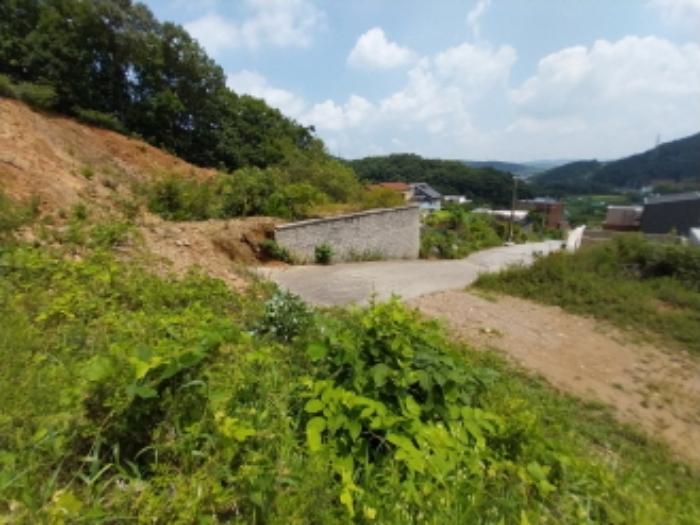 법원경매 2024타경80509 사진5 | 용인시 수지구 고기동 230-43 임야 경매