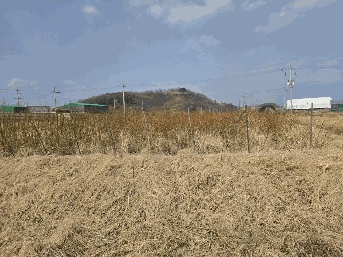 2025타경6431 법원경매 사진2 | 경북 경산시 답 경매