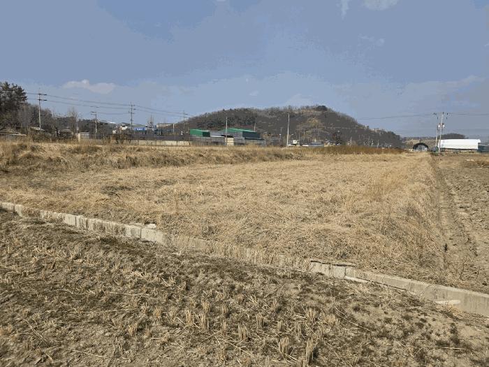 2025타경6431 법원경매 사진5 | 경북 경산시 답 경매