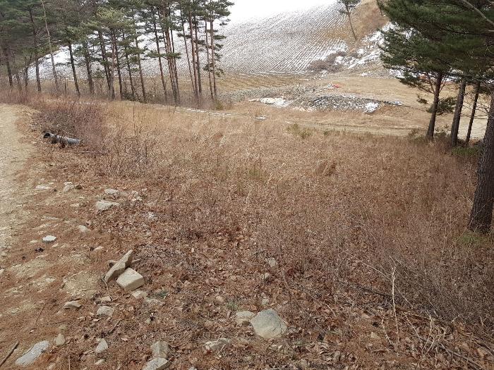 강원도 강릉시 왕산면 대기리 1650 법원경매 물건 대표사진