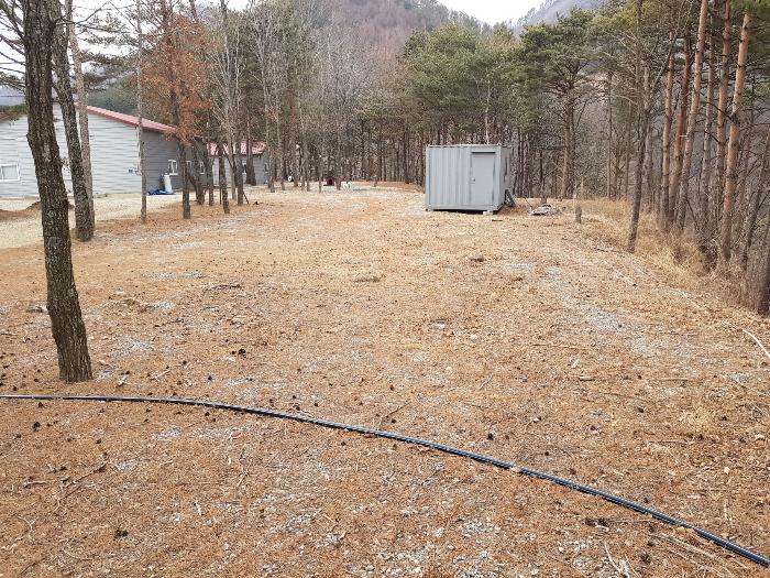법원경매 2022타경30449 사진3 | 강릉시 왕산면 대기리 1650 대지 경매